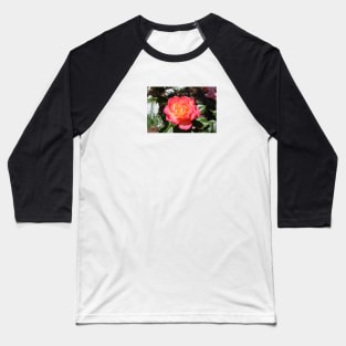 Dreamy Orange Rose Photograph Baseball T-Shirt